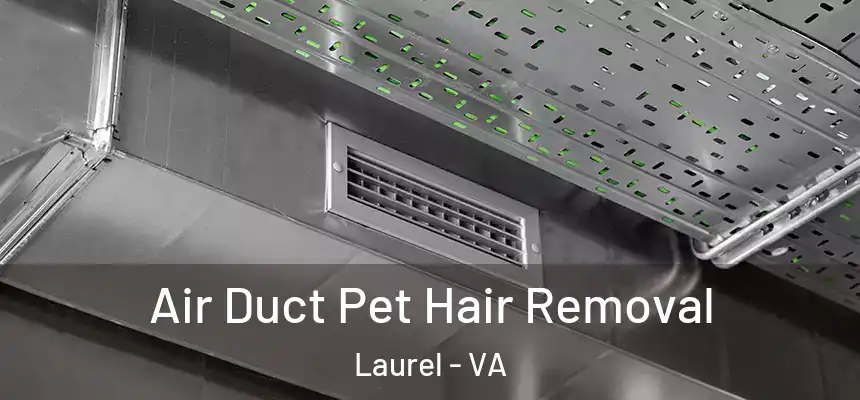  Air Duct Pet Hair Removal Laurel - VA