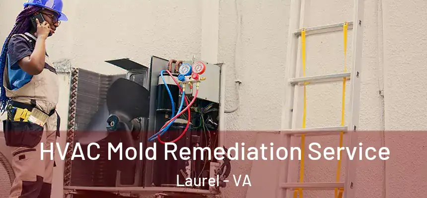  HVAC Mold Remediation Service Laurel - VA