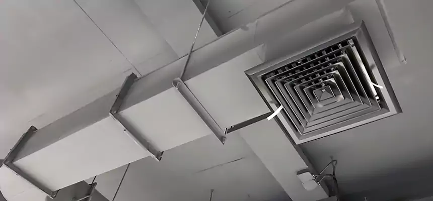 Our Pest Removal From Ducts Services in Laurel, VA