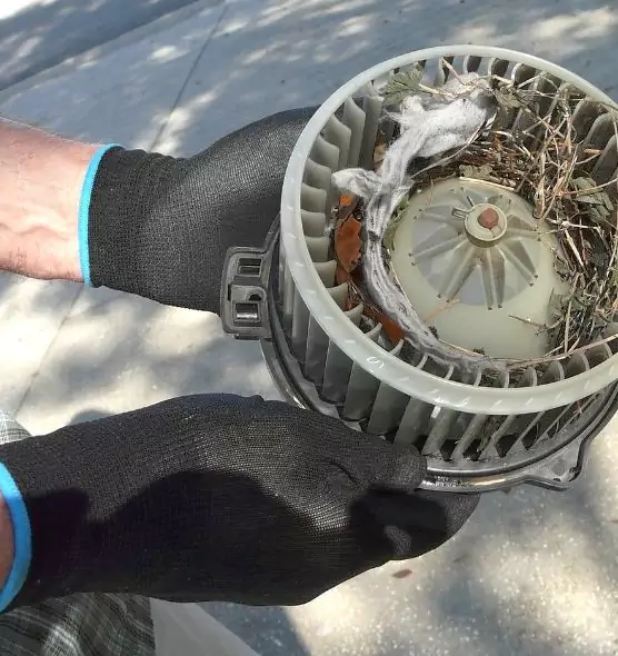 About Air Duct Mice Removal in Laurel, VA