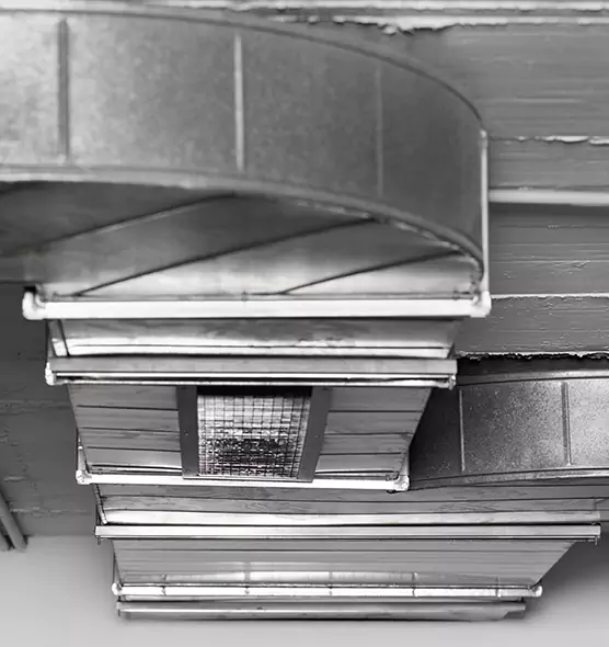 Professional Air Duct Pet Hair Removal in Laurel, VA