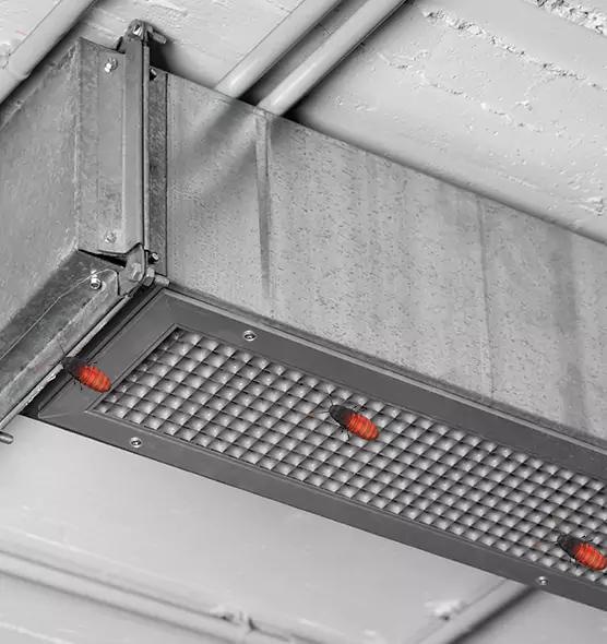 Affordable Insect Removal from Air Ducts in Laurel, VA